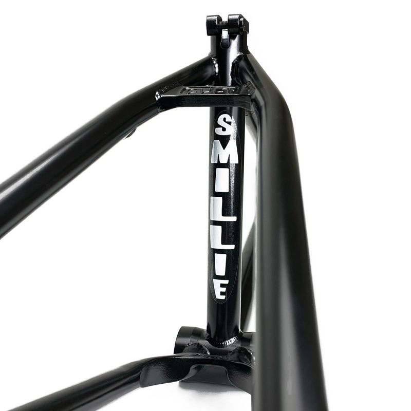 CUADRO FRAME CULT BIGGIE DEVON SMILLIE 20.75" NEGRO ED